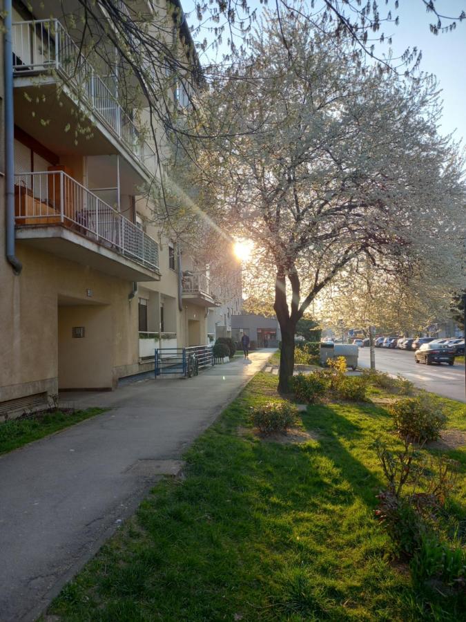 Apartment Jarun Comfort 자그레브 외부 사진