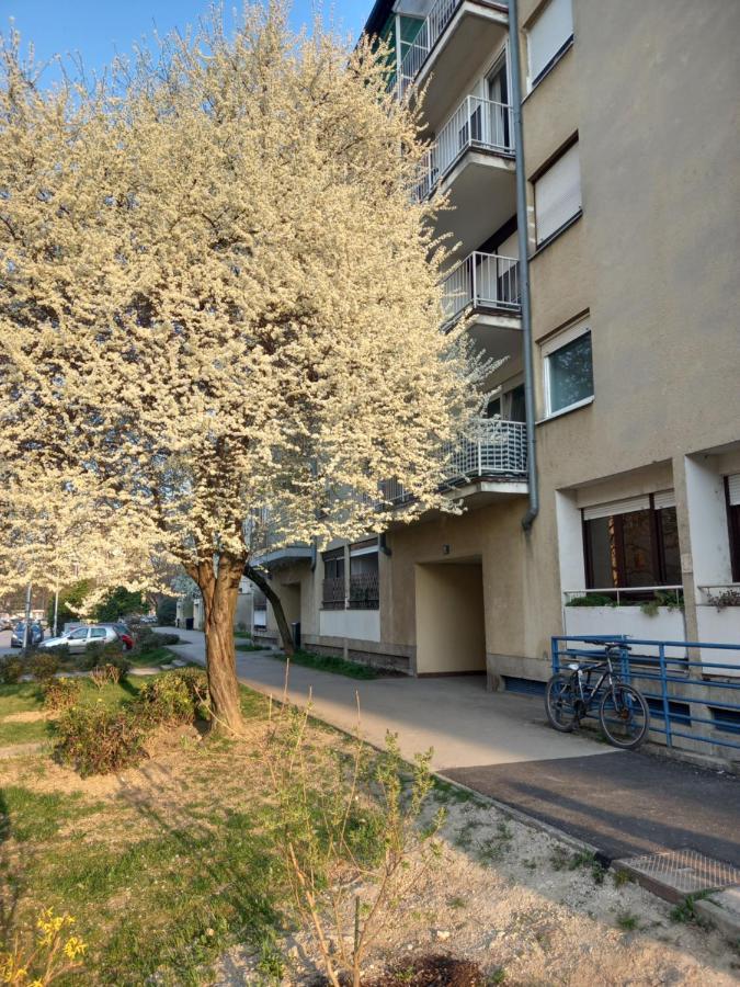 Apartment Jarun Comfort 자그레브 외부 사진